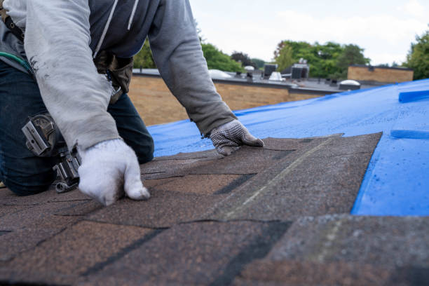 Roof Insulation in Hinckley, IL